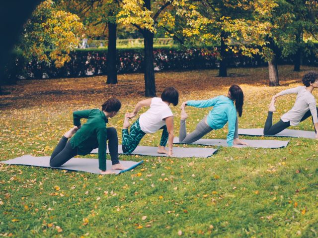 Équipements de musculation à petit prix : le guide