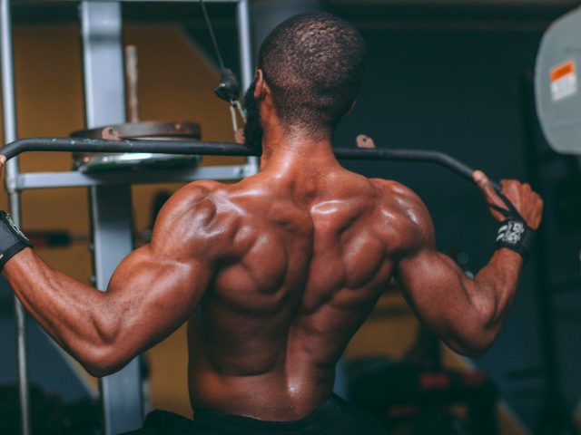 Les Meilleurs Exercices pour Renforcer Votre Dos