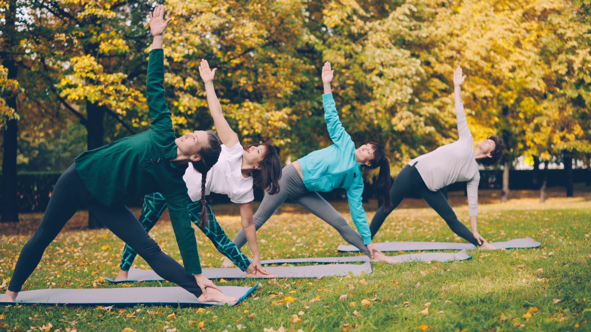 Anneaux de gymnastique : bois vs plastique, choix selon usage